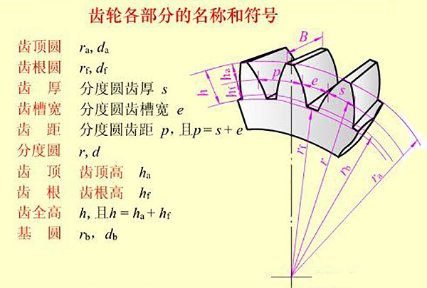 齿轮各部分的名称和符号